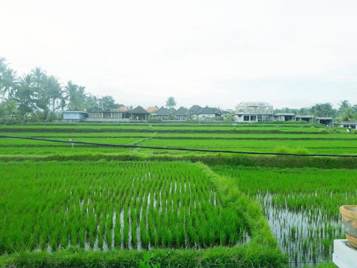 Tantra House Ubud 외부 사진